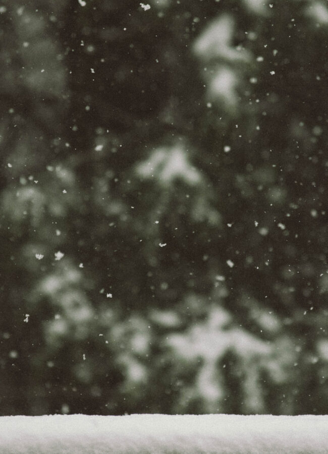 abstract snowflakes on railing